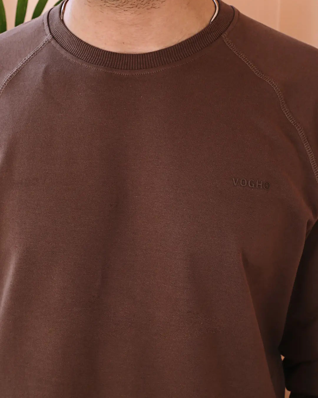 Brown sweatshirt for men